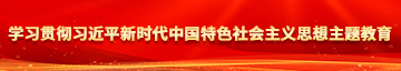 女人操:B视频网站下载学习贯彻习近平新时代中国特色社会主义思想主题教育